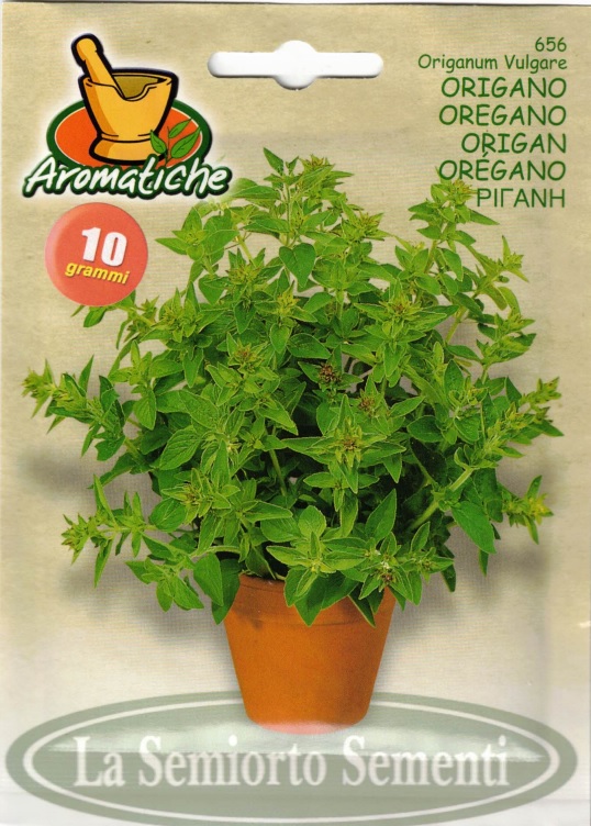 Oregano 10g